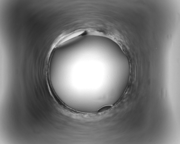 X0000086010003200704091104