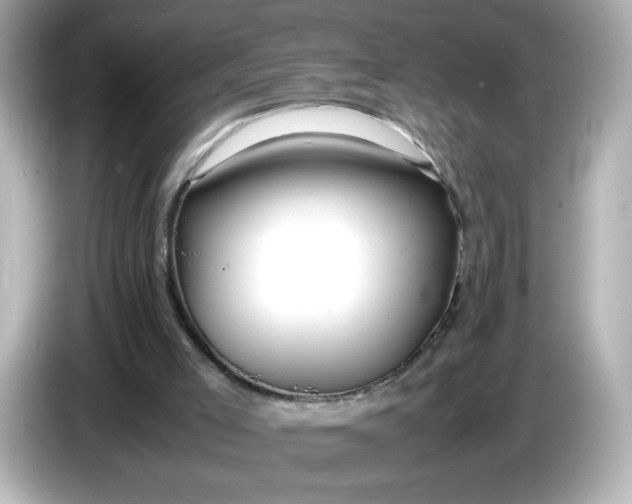 X0000086010005200704091104