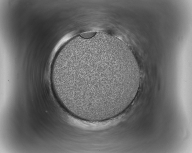 X0000086010006200704091104