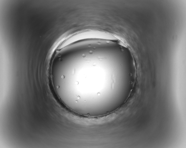 X0000086010007200704091104