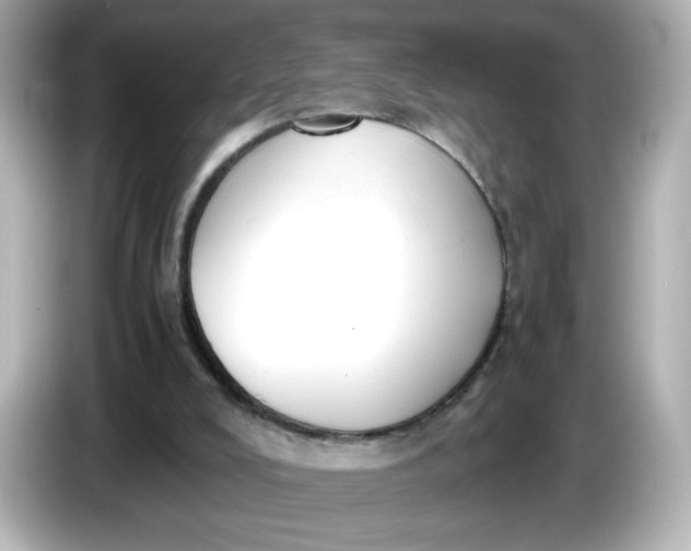 X0000086010008200704091104