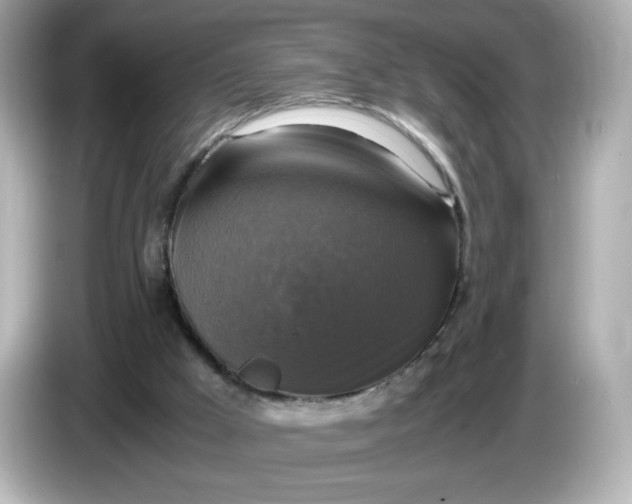 X0000086010009200704091104