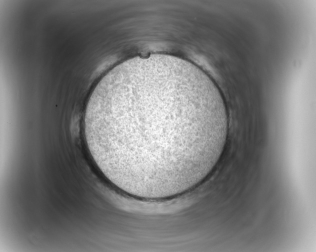 X0000086010010200704091104