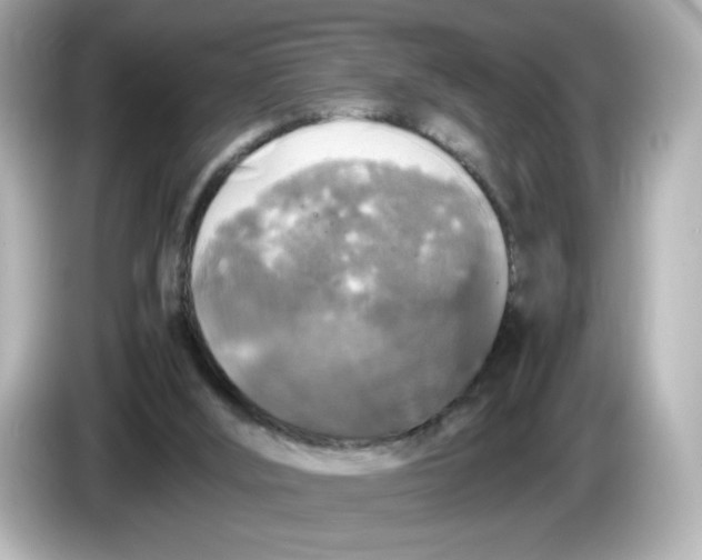 X0000086010012200704091104