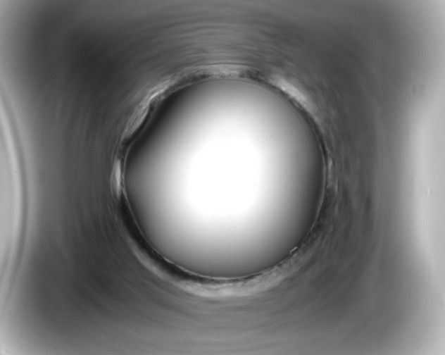 X0000086010013200704091104
