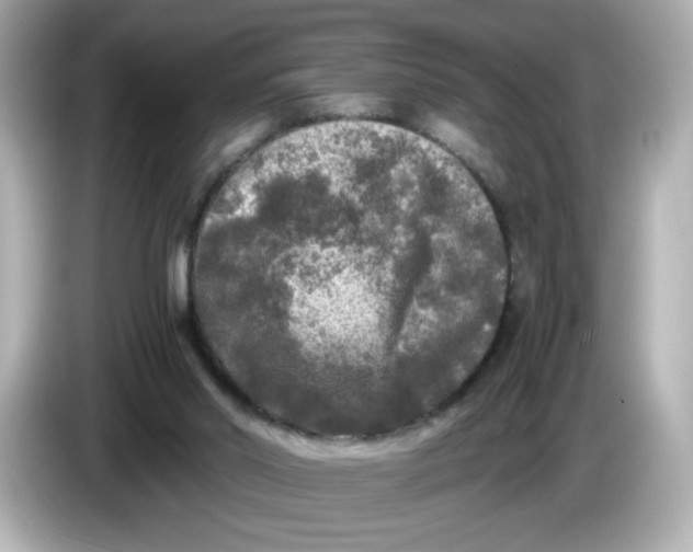 X0000086010014200704091104