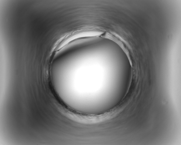 X0000086010015200704091104