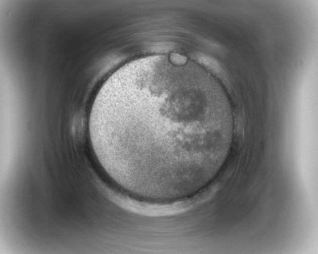 X0000086010016200704091104