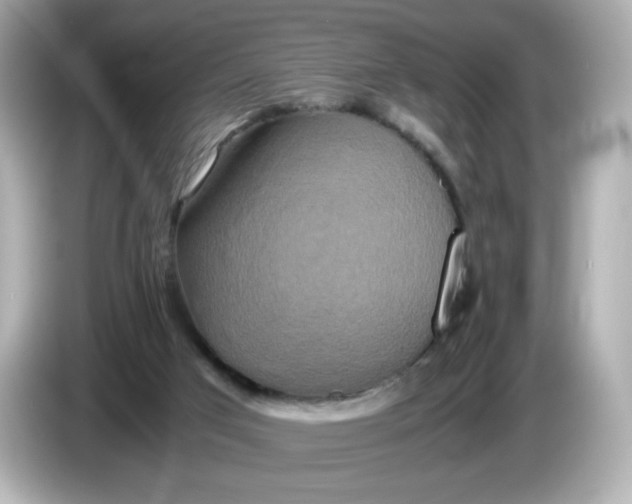 X0000086010017200704091104