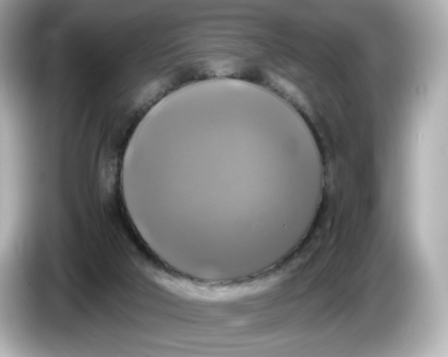 X0000086010018200704091104