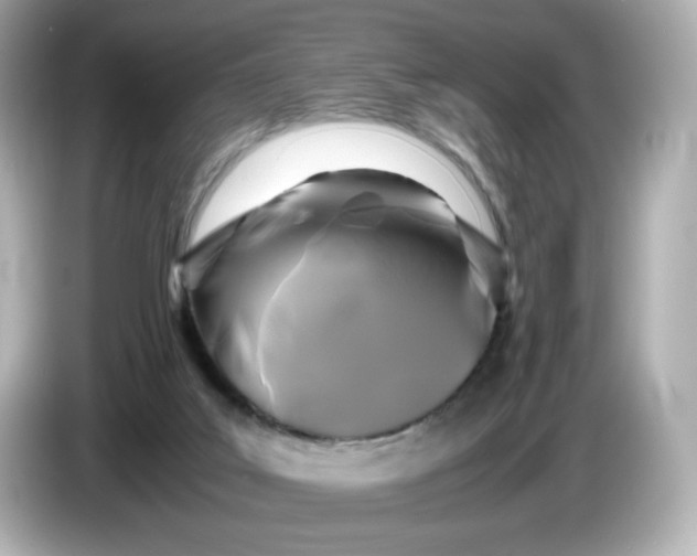 X0000086010019200704091104