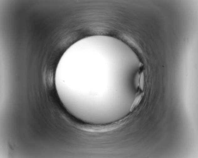 X0000086010021200704091104