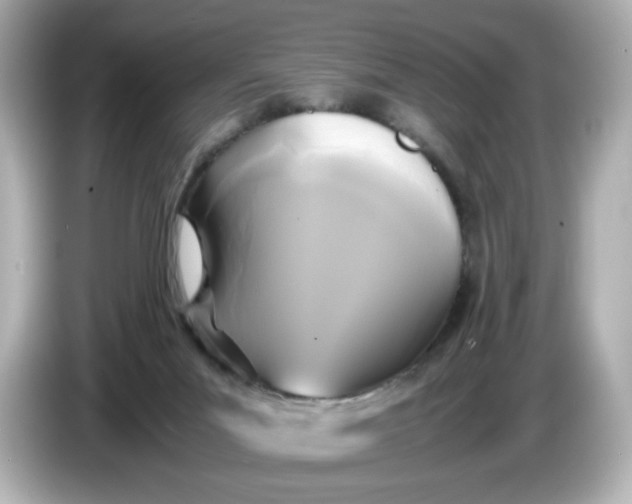 X0000086010023200704091103