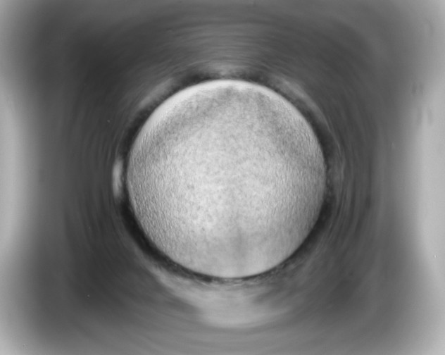 X0000086010024200704091103