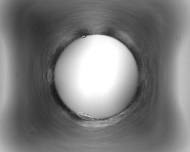X0000086010025200704091103