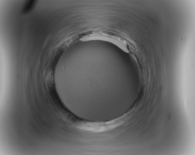 X0000086010029200704091103