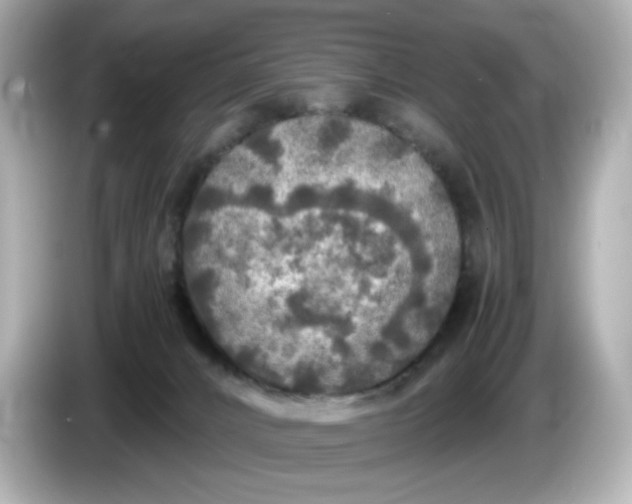 X0000086010032200704091103