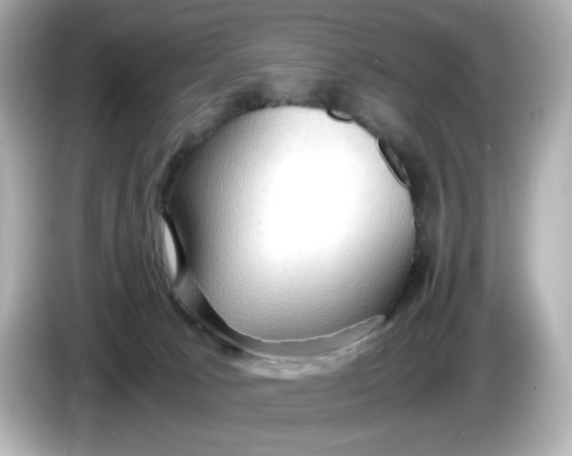 X0000086010033200704091103