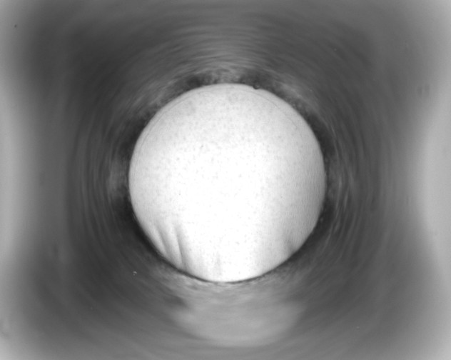 X0000086010034200704091103