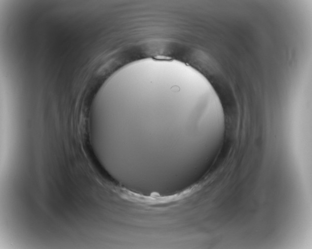 X0000086010035200704091103
