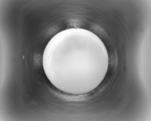 X0000086010036200704091103