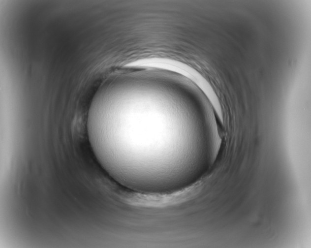 X0000086010037200704091103