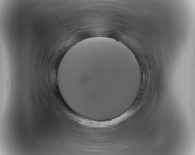 X0000086010048200704091103
