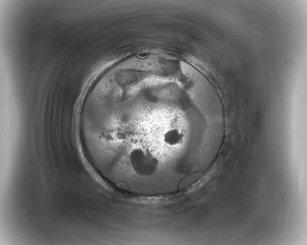 X0000086010049200704091103