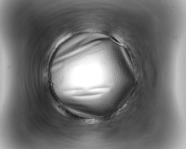 X0000086010050200704091103