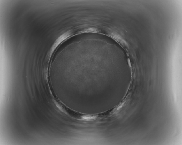 X0000086010051200704091103