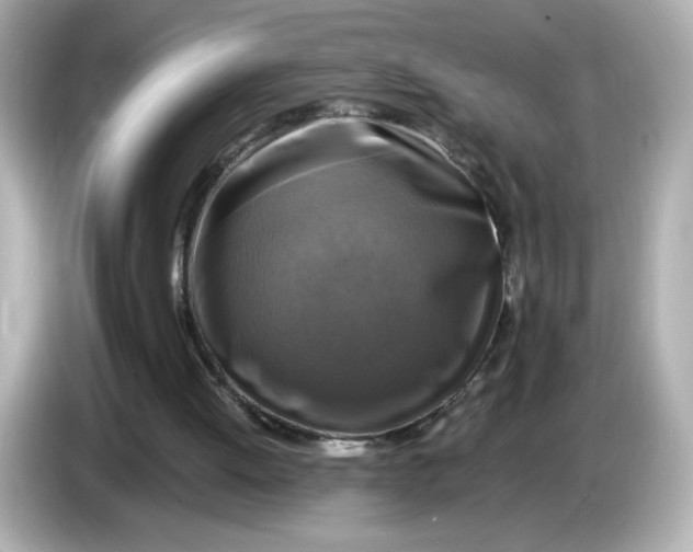X0000086010052200704091103