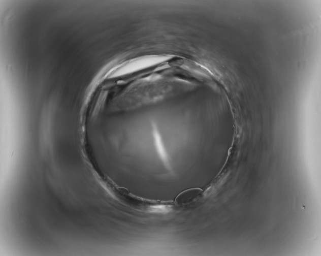 X0000086010053200704091103