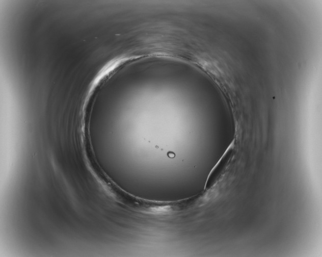X0000086010054200704091103