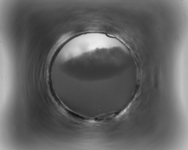 X0000086010055200704091103