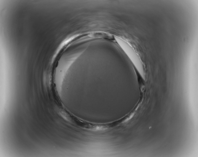 X0000086010056200704091103