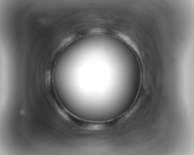 X0000086010057200704091103