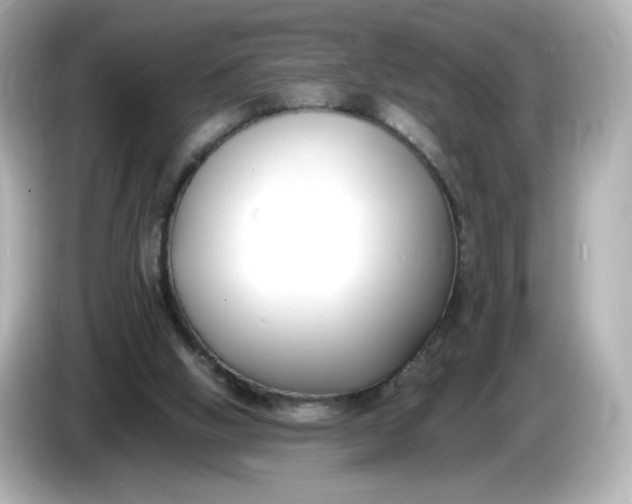 X0000086010058200704091103