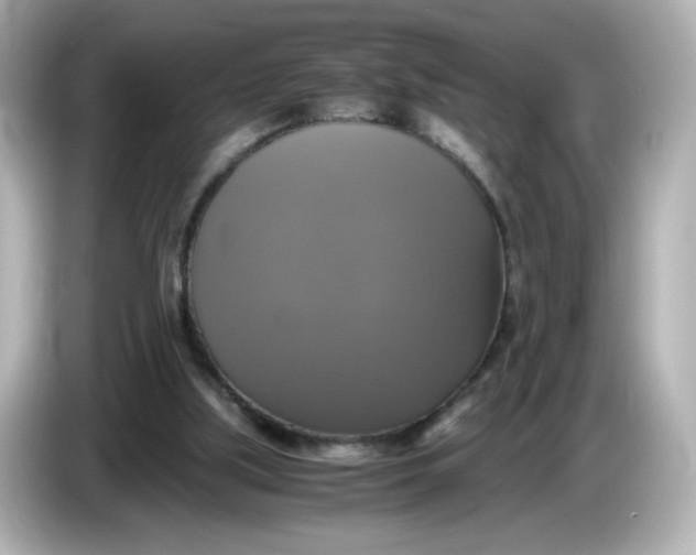 X0000086010059200704091103