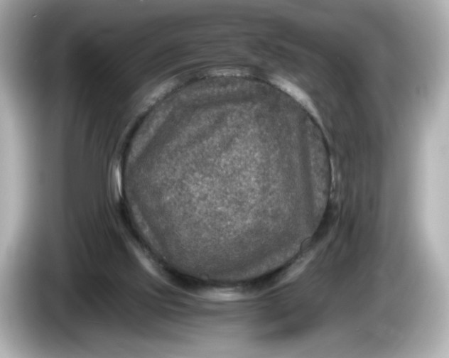 X0000086010061200704091103