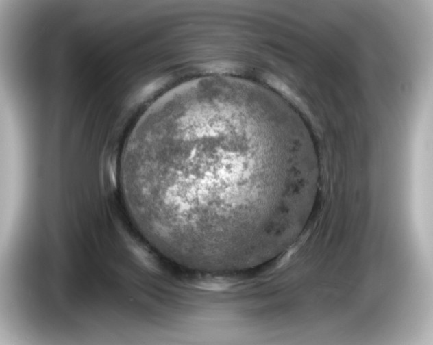 X0000086010062200704091103