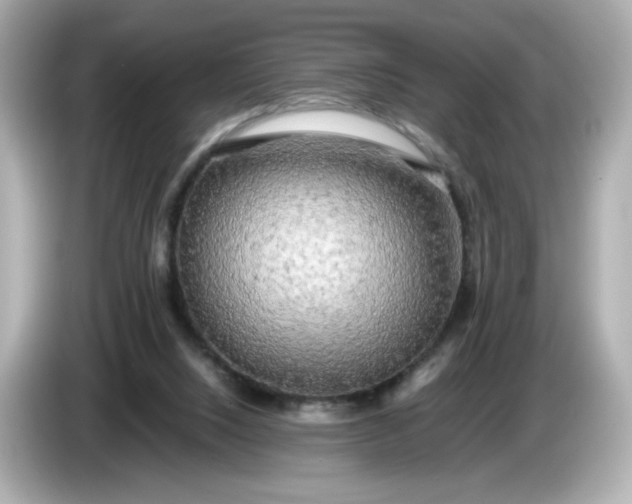 X0000086010064200704091103