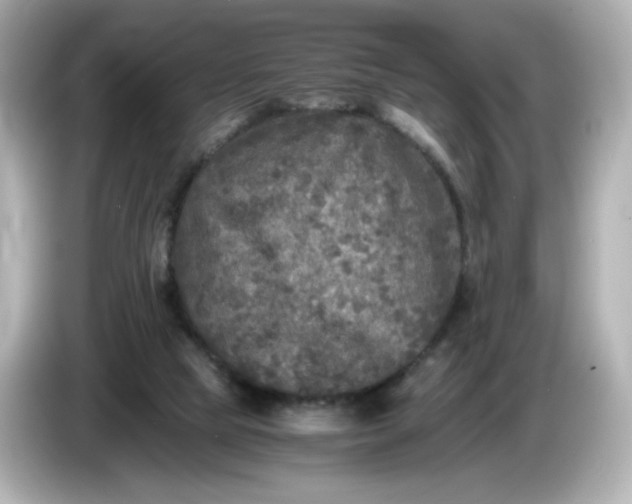 X0000086010065200704091103