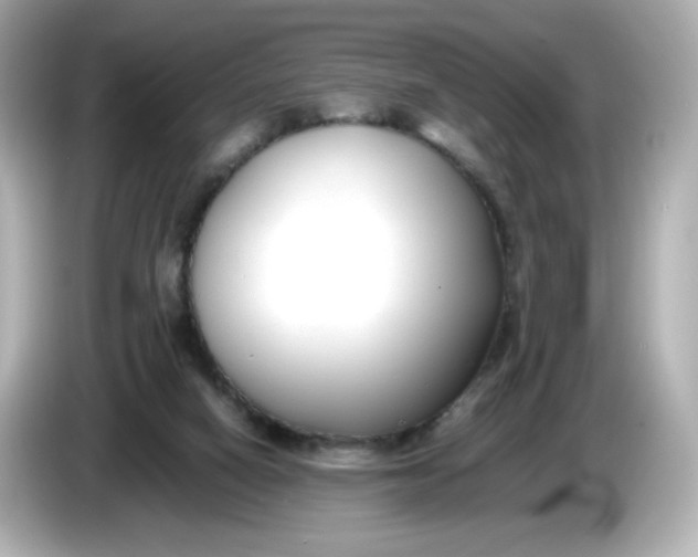 X0000086010066200704091103