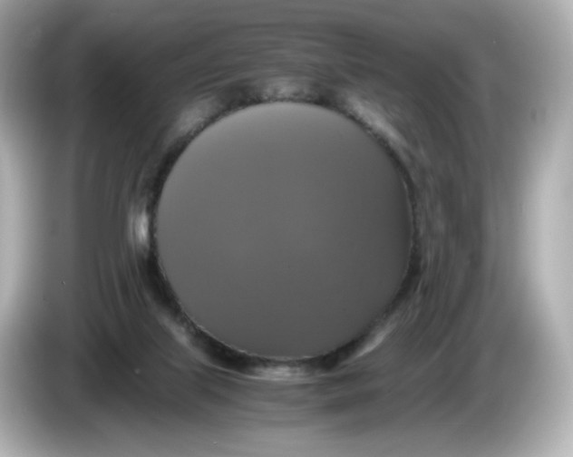 X0000086010067200704091103