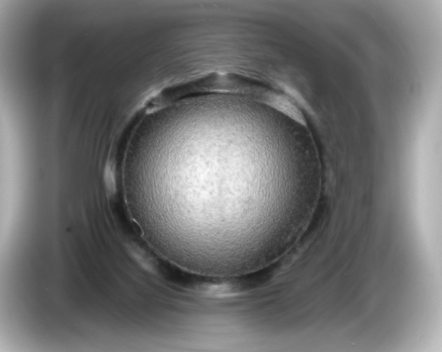 X0000086010068200704091103