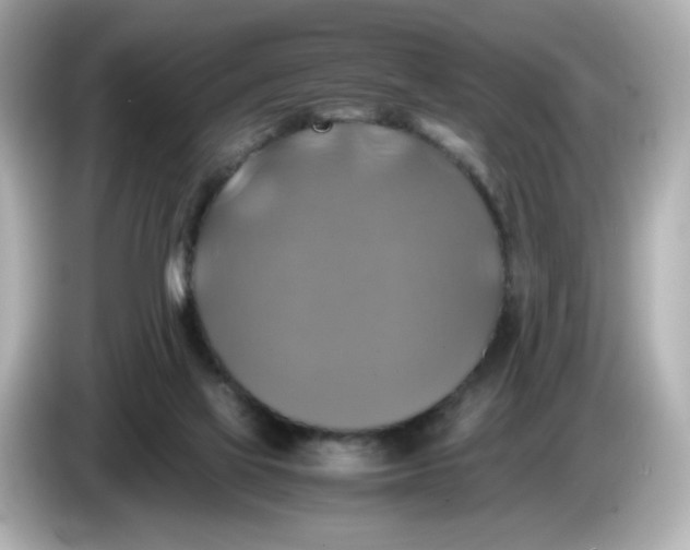 X0000086010069200704091103