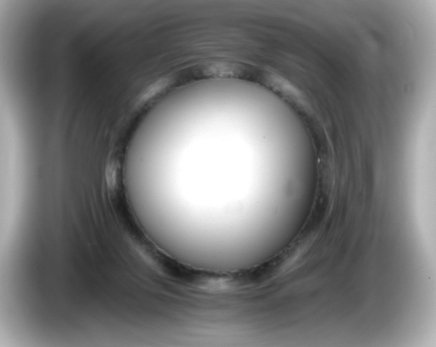 X0000086010071200704091103