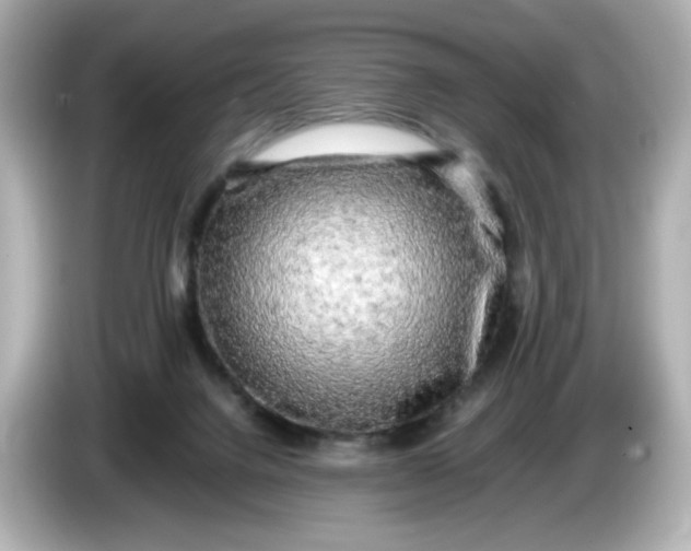 X0000086010072200704091103