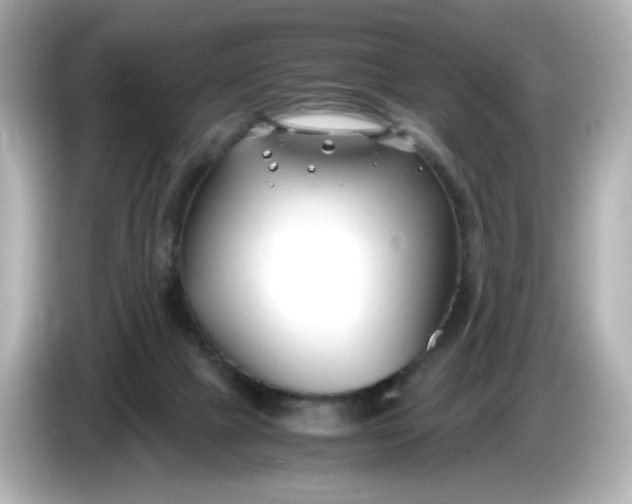 X0000086010073200704091103