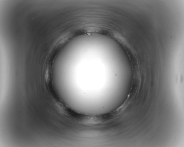 X0000086010074200704091103